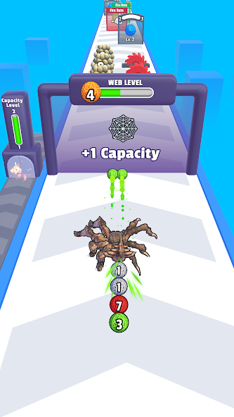 Spider Evolution 3D