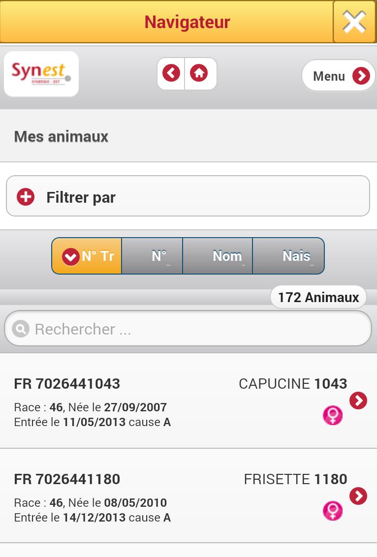 SYNEST Carnet