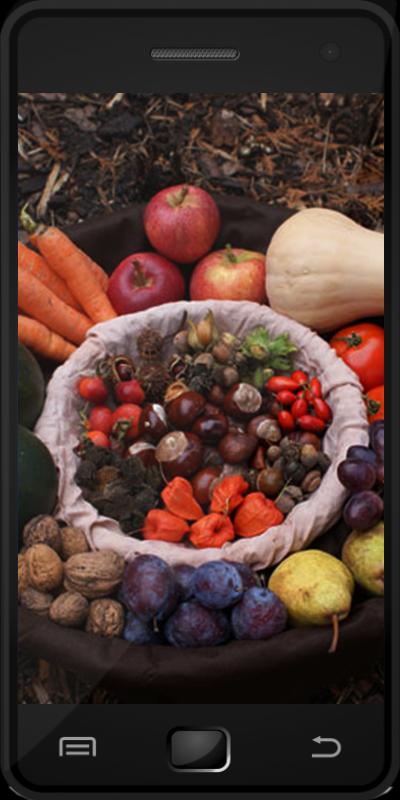 Paleo diet