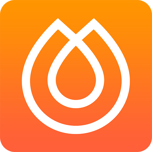 Fuel Prices Online