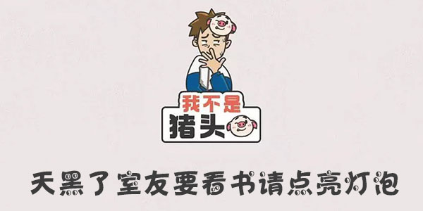 私は豚ではありません