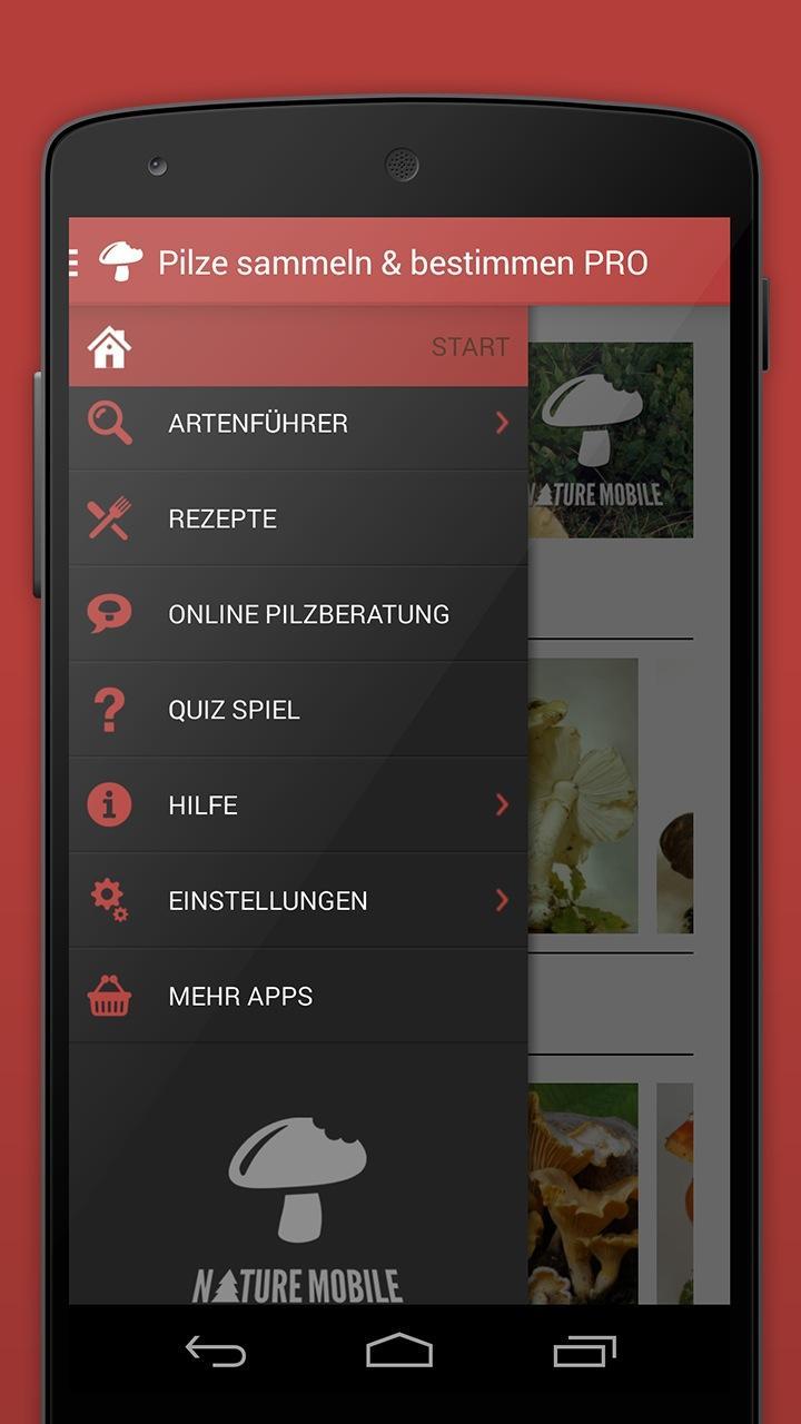 Pilze sammeln & bestimmen LITE