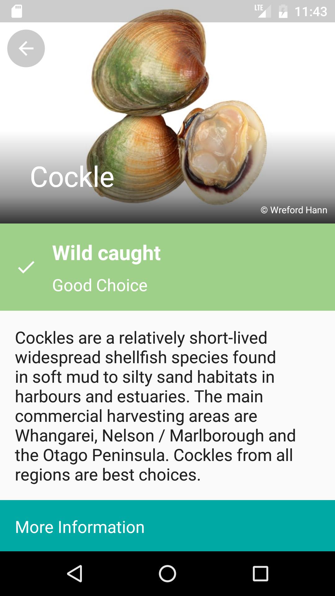 Best Fish Guide
