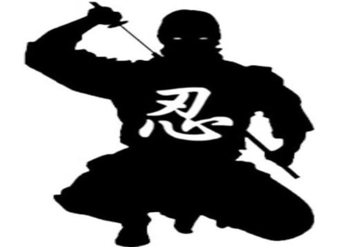 Ninjutsu Lessons