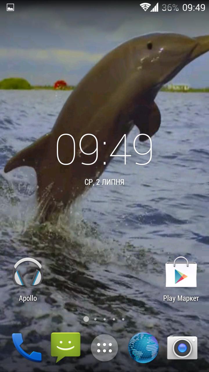 Dolphin 3d. Video Wallpaper
