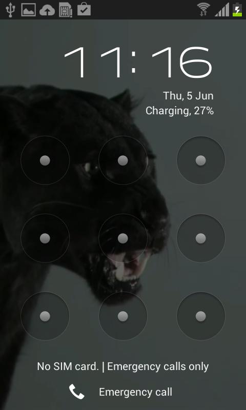 Puma Cat Video Wallpaper
