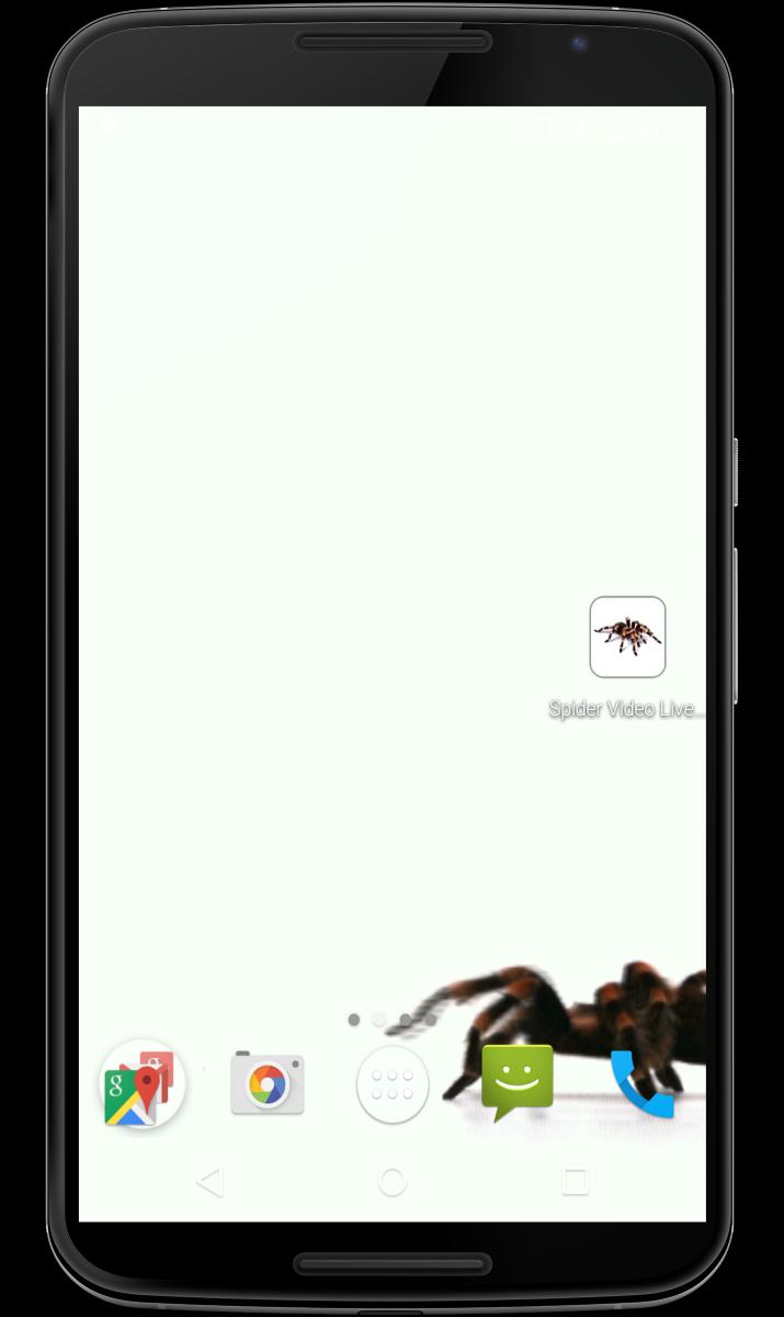 Spider Video Live Wallpaper