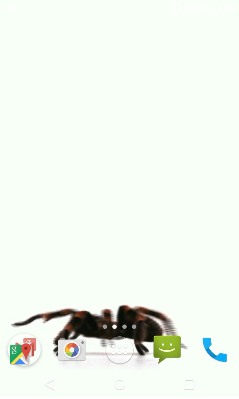 Spider Video Live Wallpaper