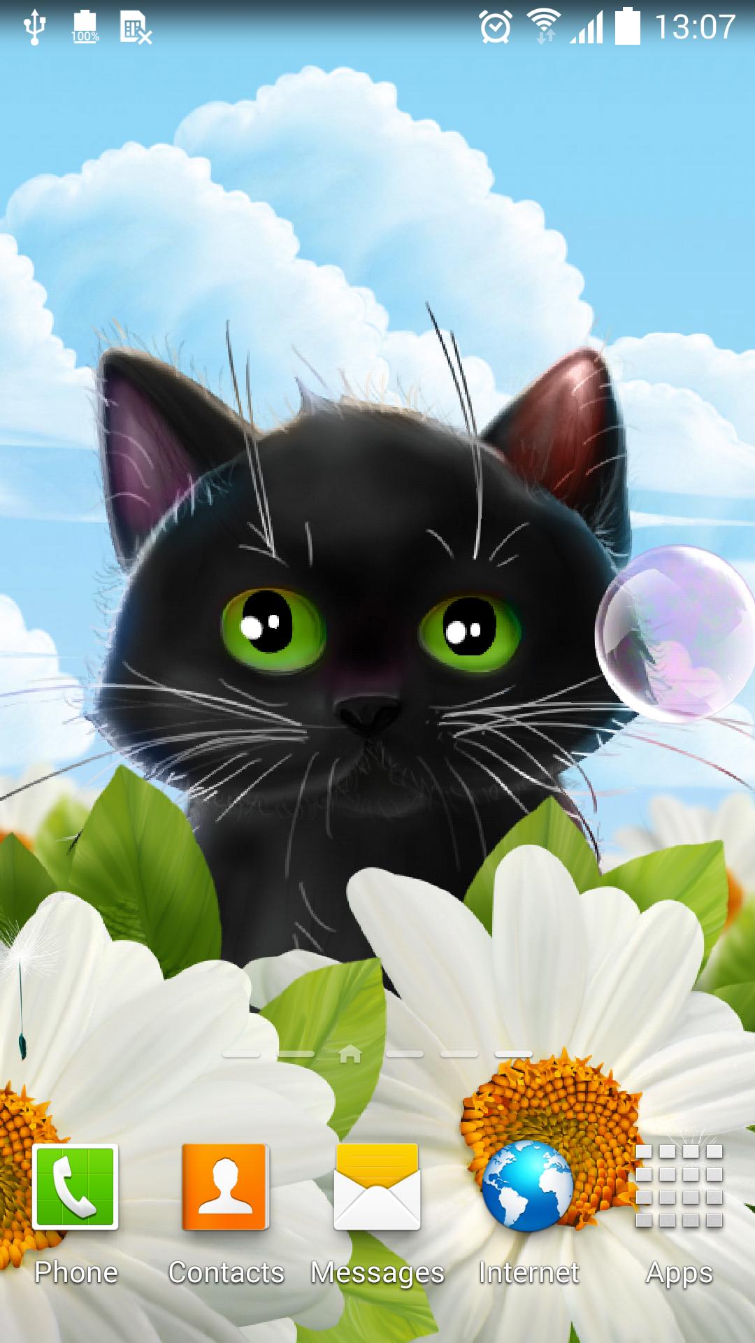 Cute Kitten Live Wallpaper