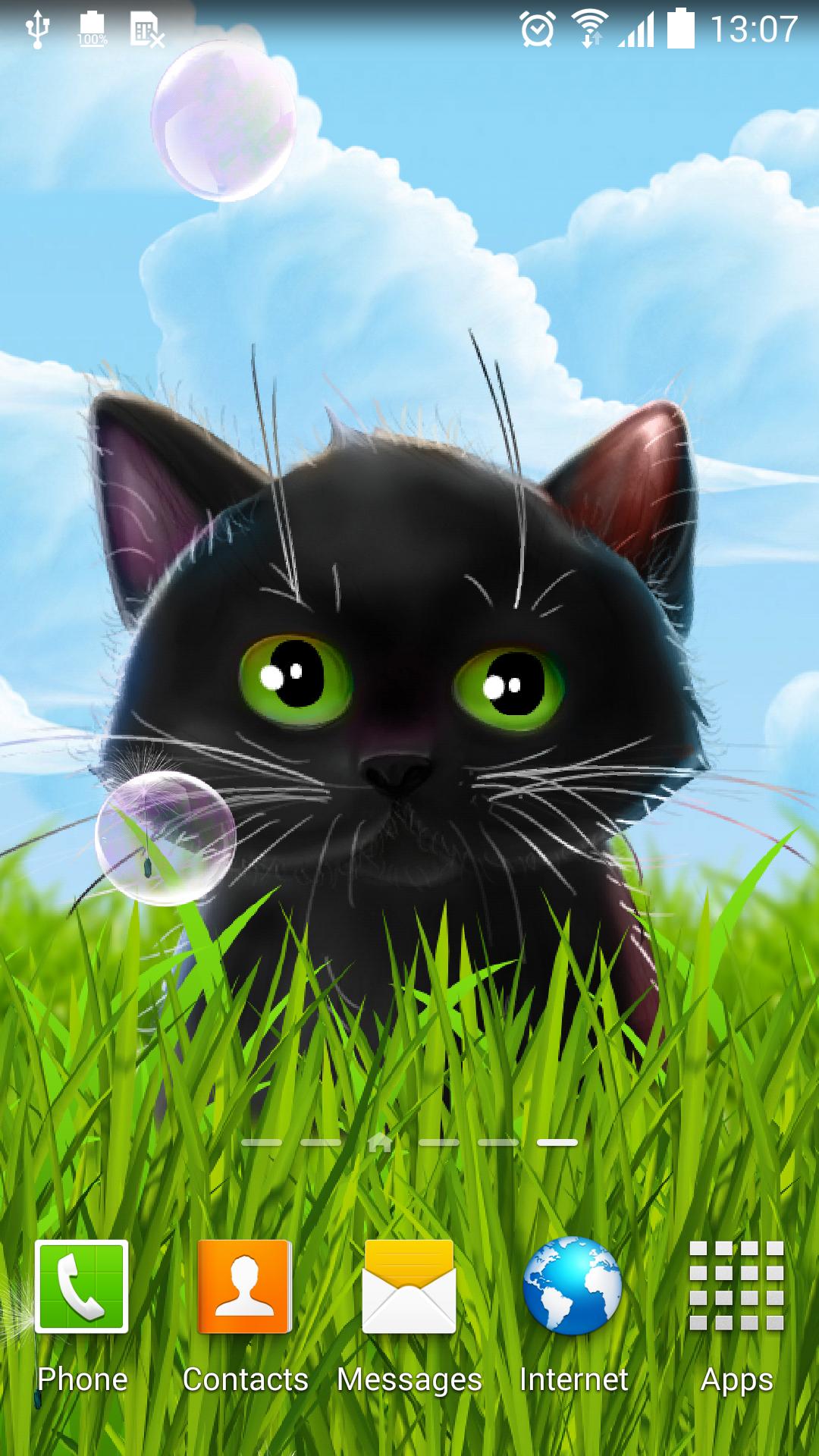 Cute Kitten Live Wallpaper