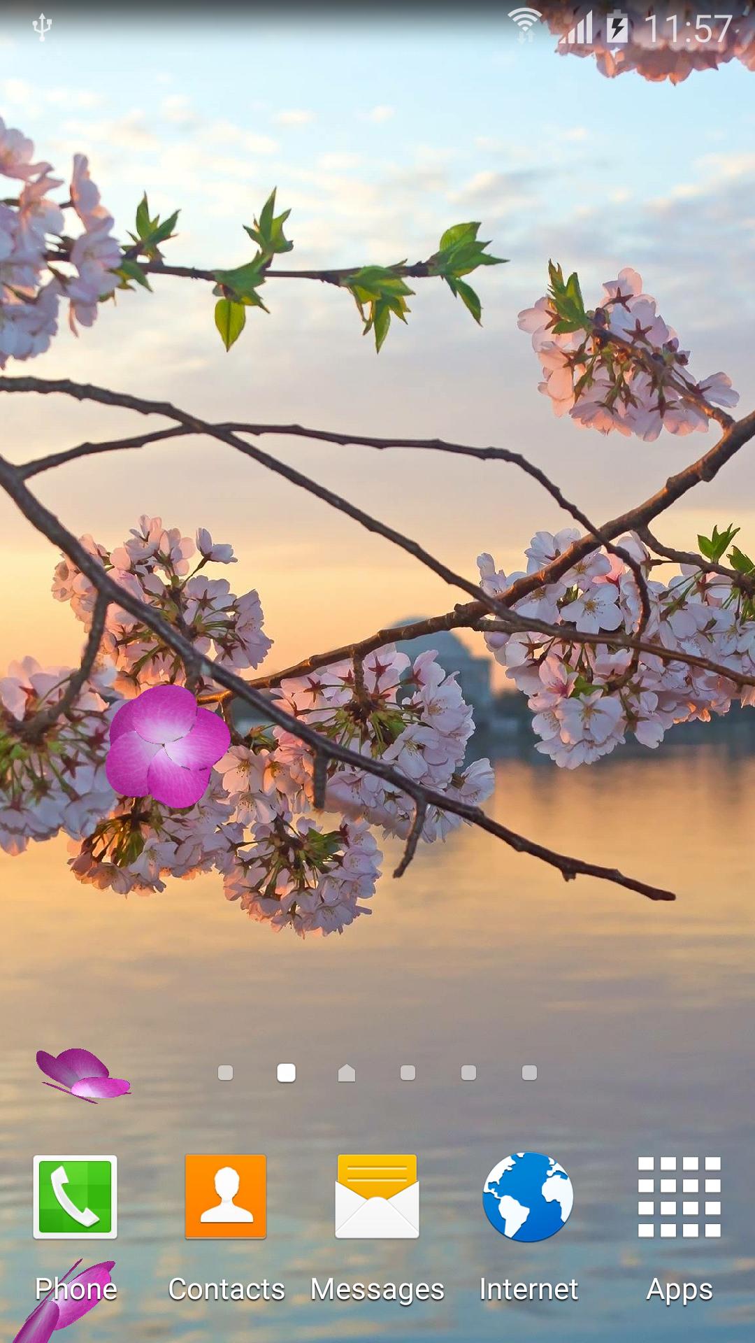 Sakura Garden Live Wallpaper