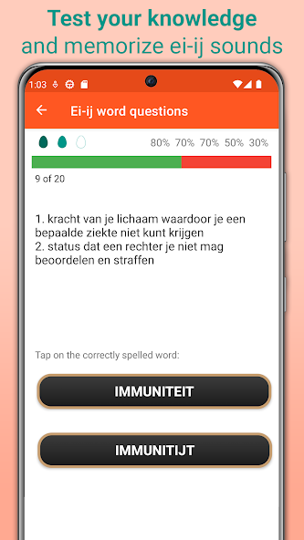 Ei-ij Spelling Dutch