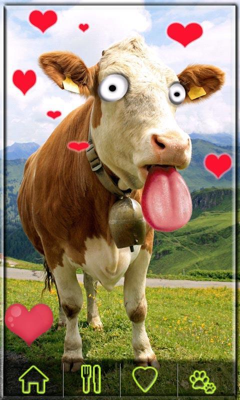 Pet Me Free game for kids