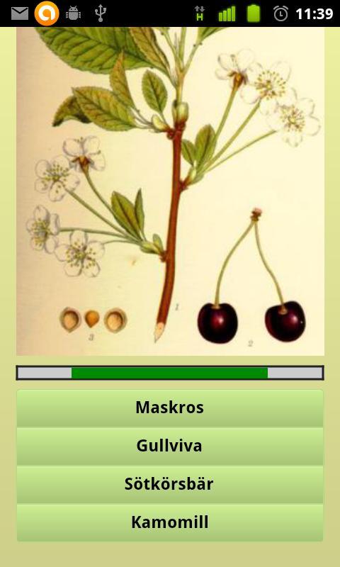 Svea Flora (Free)