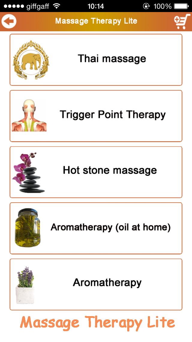 Massage Therapy Lite