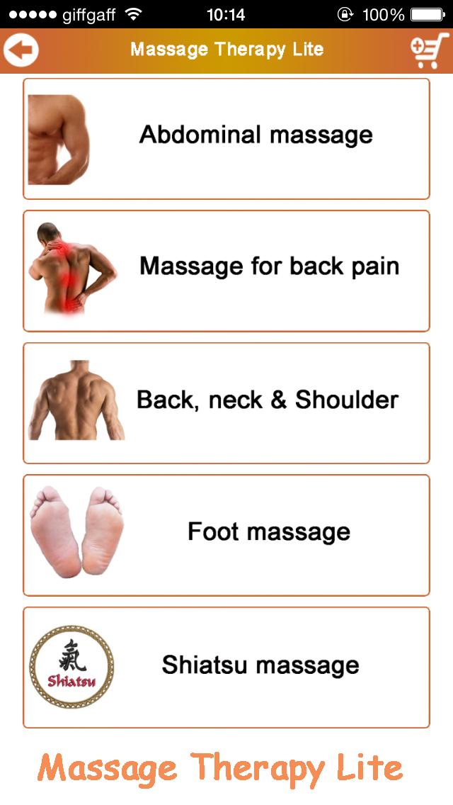 Massage Therapy Lite