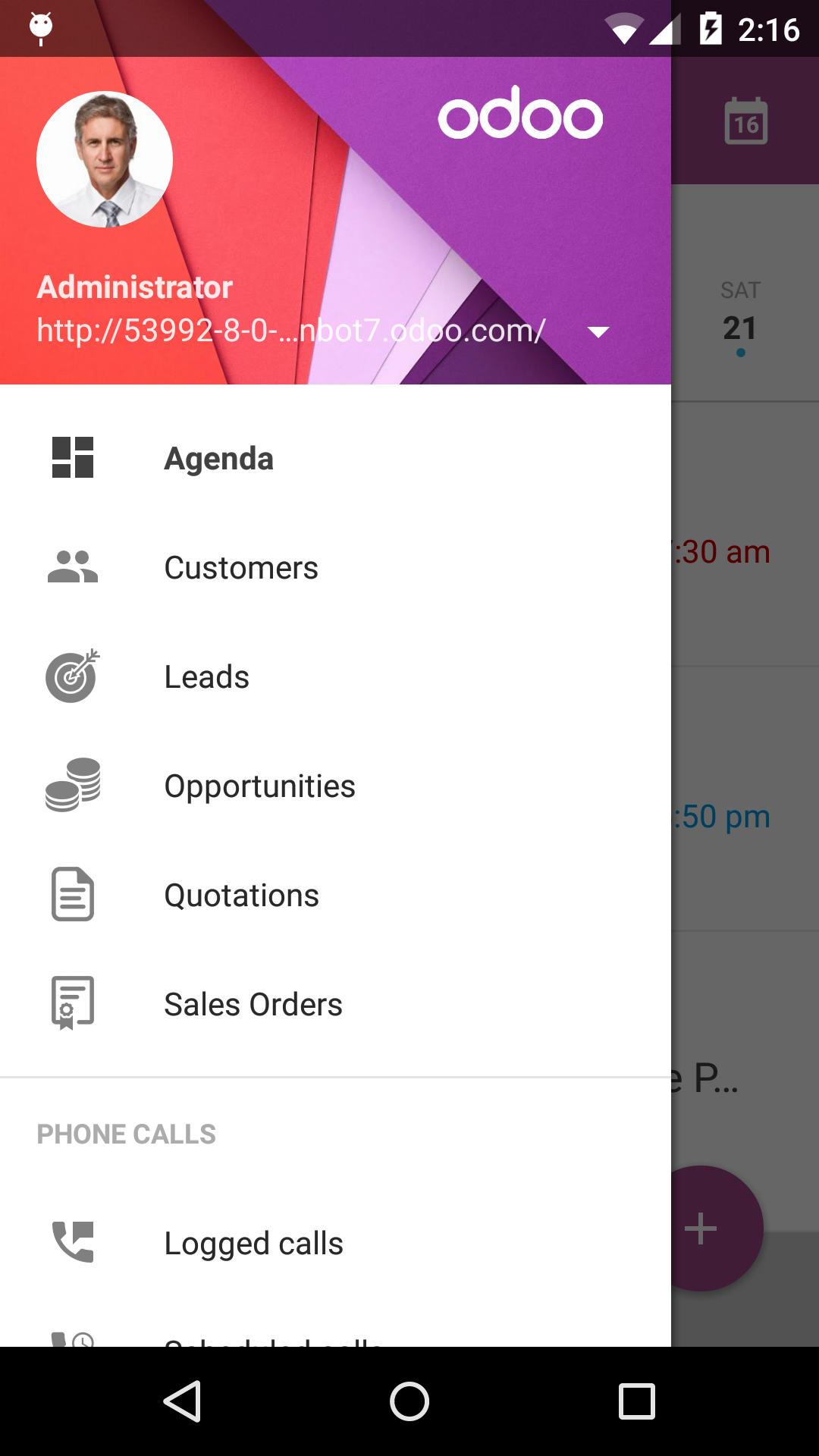 Odoo CRM (BETA)