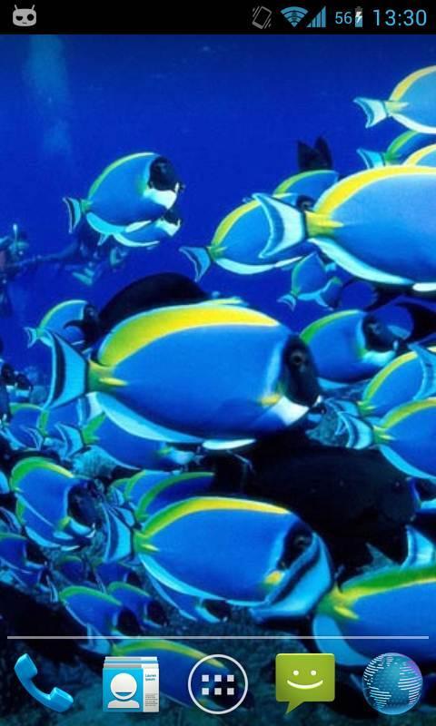 Magic Touch : Fish Pond