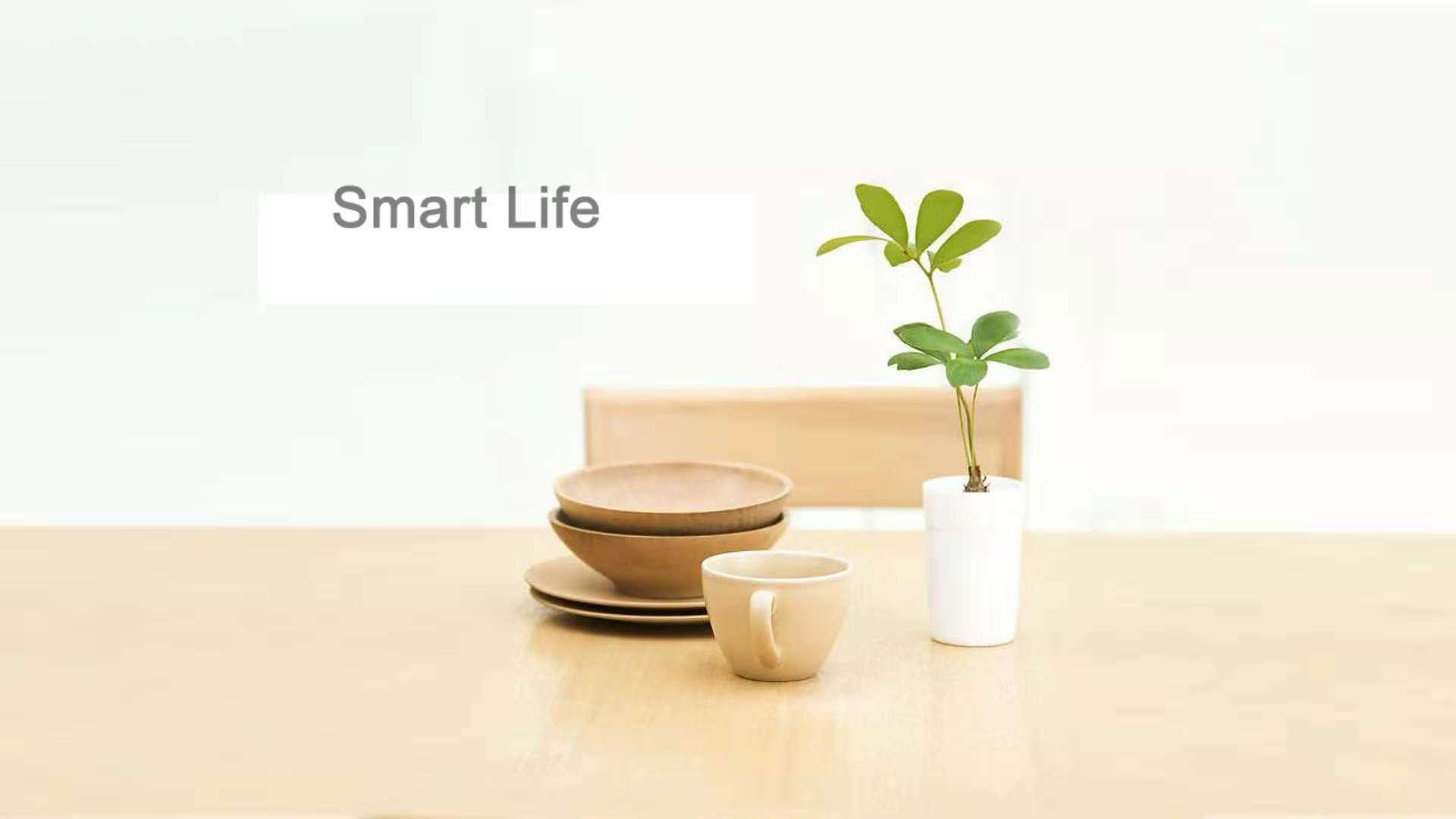 Smart Life2
