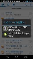 DICOM Viewer For Japanese