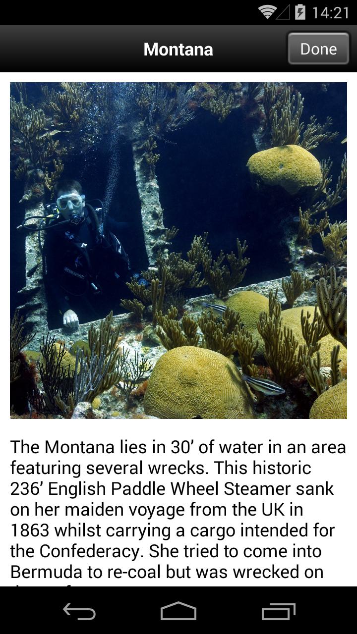 Bermuda Reef Life HD