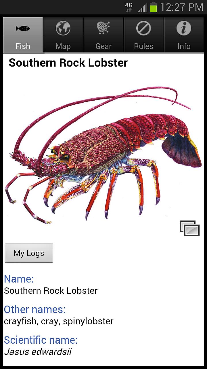 Tasmanian Sea Fishing Guide