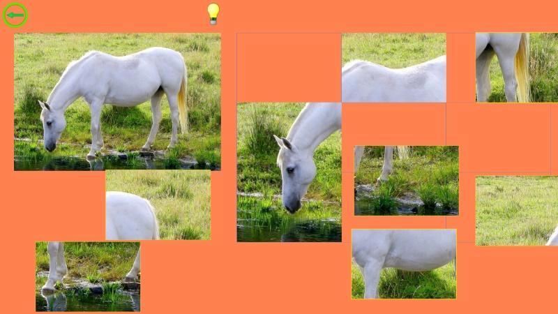 Horse Puzzle For Kids