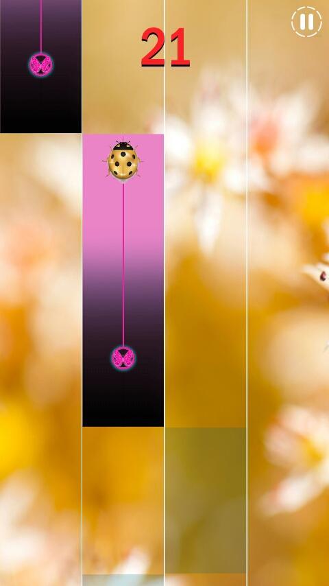 Gold Beetle Piano tiless 2019