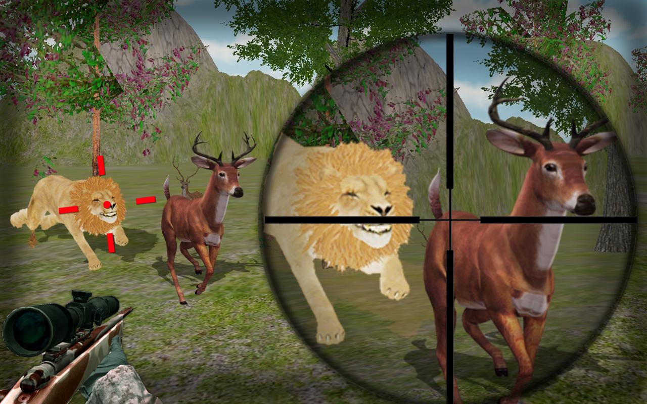 Hunt Animals in jungle