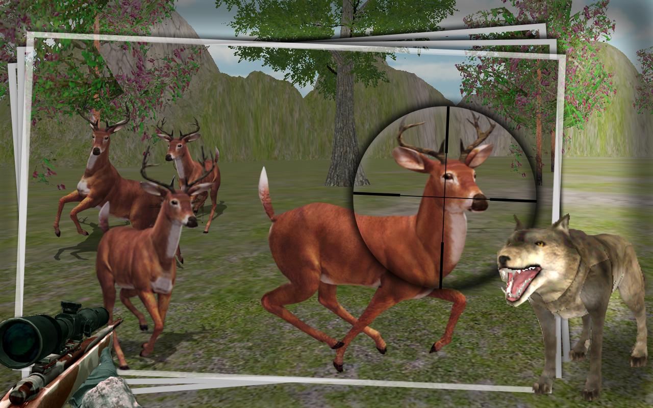 Hunt Animals in jungle