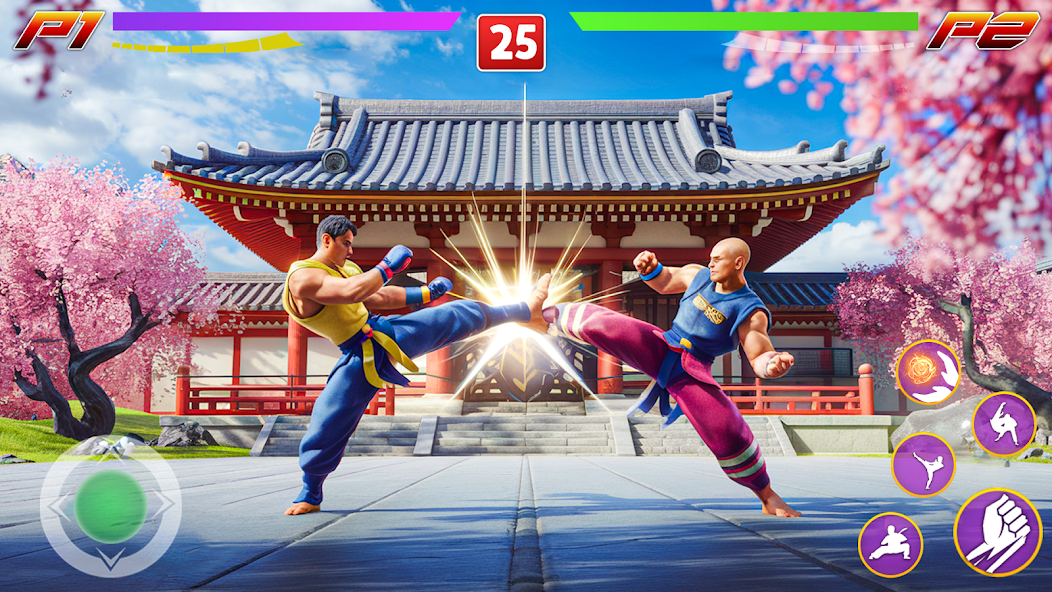 Kung Fu Gym Fighting