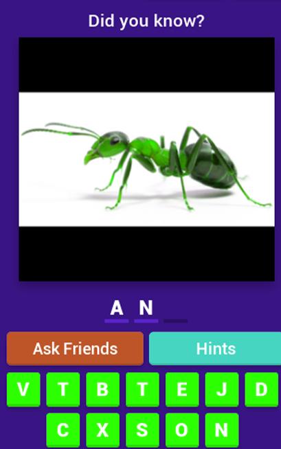 animals Quiz 2019-best Quiz 2019