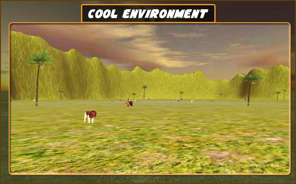 Ninja Samurai Warrior