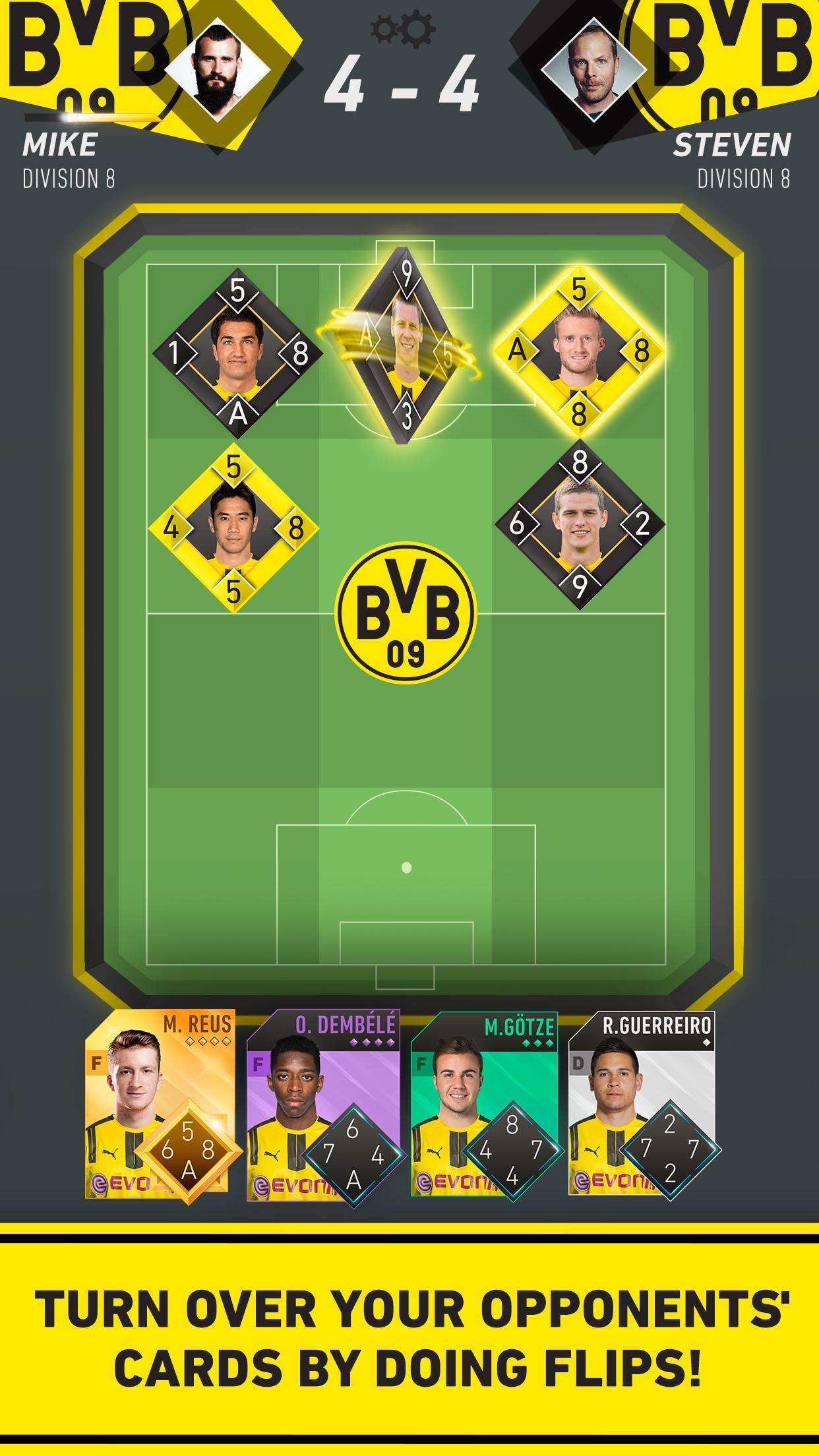 BVB Flip