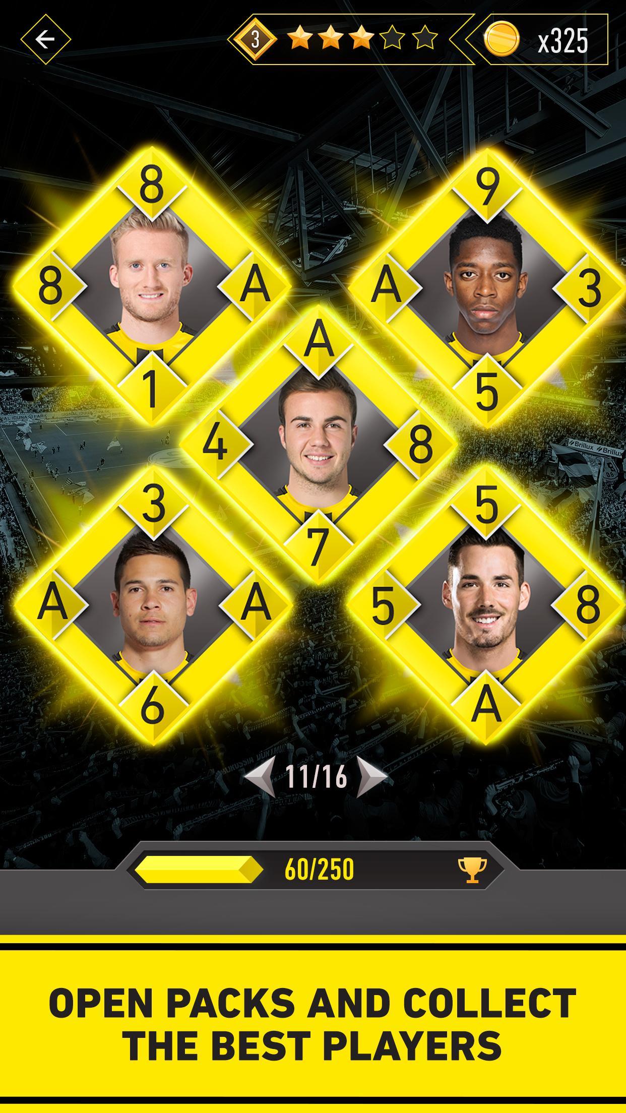 BVB Flip