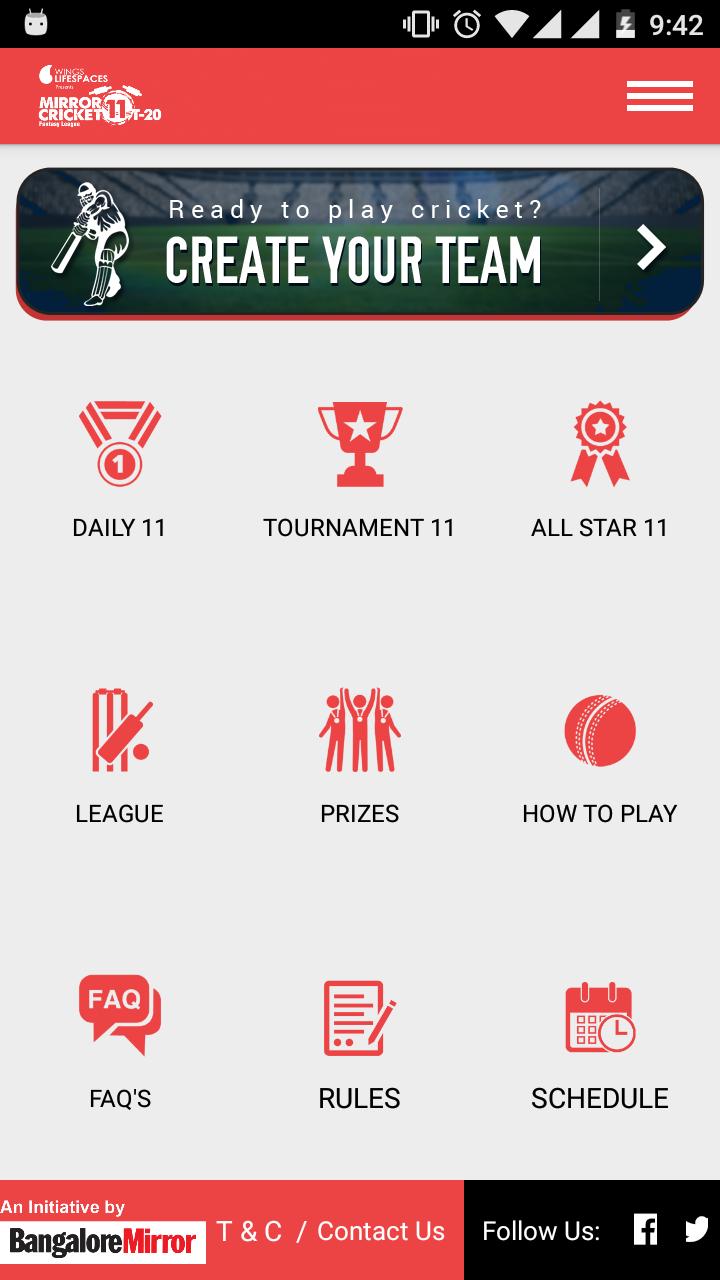 Mirror Cricket 11